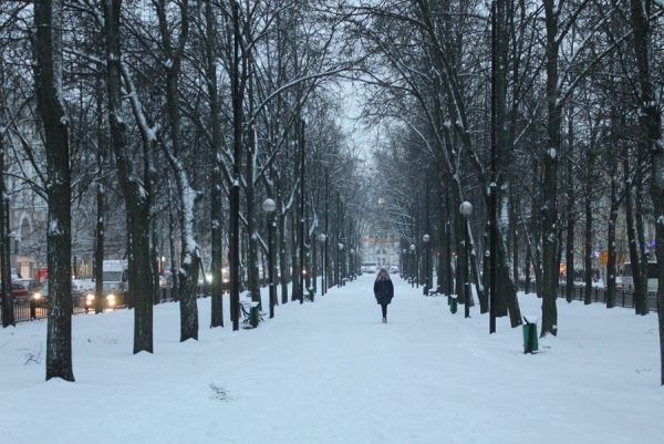Ноябрьский снегопад в Витебске. Фото Юрия Шепелева