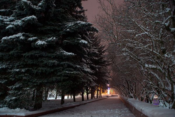 Новогодний Витебск засыпает снегом.  Фото  Сергея Серебро