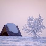 Пенсионер насмерть замерз в своем доме в Толочинском районе