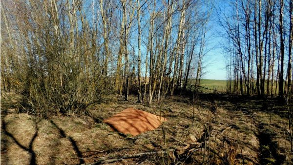 Механизатор отсыпал себе тонну элитных семян ячменя стоимостью 400 долларов. В Верхнедвинском районе возбуждено уголовное дело. Фото УВД Витебского облисполкома