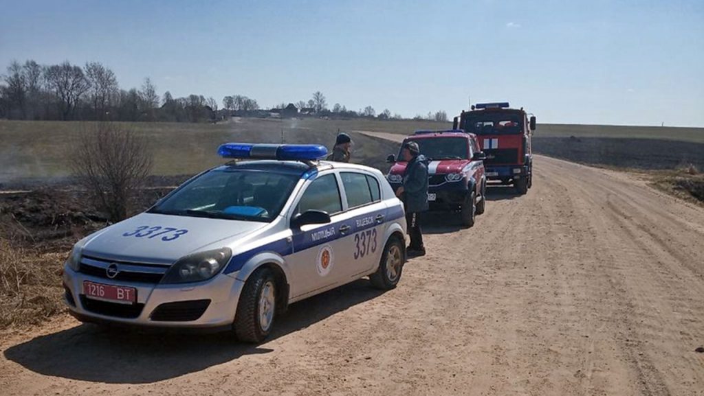 Поджигателя сухой травы задержали под Витебском местные жители. Фото МЧС