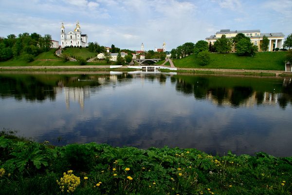 Крупная плантация опасного борщевика выросла в самом центре Витебска. Фото Сергея Серебро