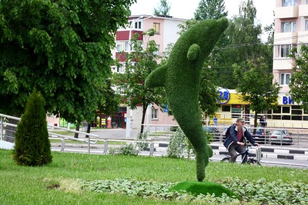 Дельфин в стиле топиар установлен перекрестке улицы Чкалова и Московского проспекта в Витебске. Фото Юрия Шепелева