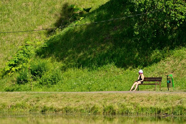 Борщевик растет прямо на пляже на Витьбе. Фото Сергея Серебро