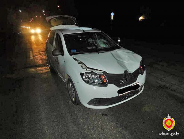 23 июля на улице Буденного под колесами автомобиля одной из пиццерий погибла 63-летняя женщина, переходившая улицу вне пешеходного перехода. Фото правления Государственного комитета судебных экспертиз