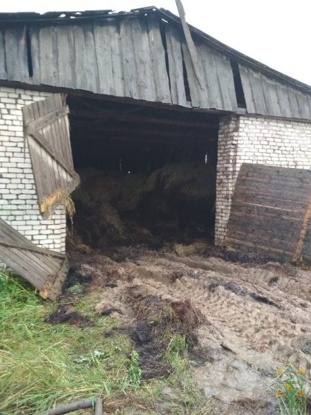 В Бешенковичском районе загорелось сенохранилище со 140 тоннами сена, большую часть кормов удалось отстоять у огня. Фото МЧС