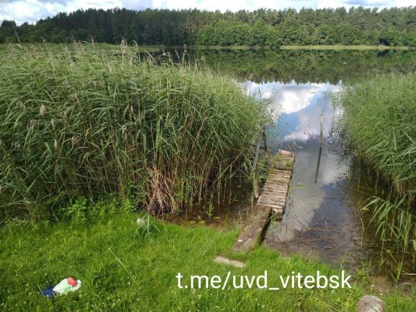 В Бешенковичском районе утонул дачник, тело нашли только сегодня