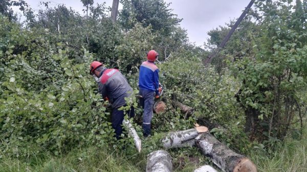 В аварийно-восстановительных работах на территории Витебской области задействованы более 500 специалистов, разбитых на 129 бригад, а также 152 единицы спецтехники. Фото «Витебскэнерго»