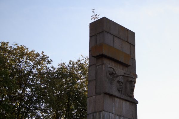 На памятнике казненным подпольщикам в Витебске выросло дерево. Фото Игоря Матвеева