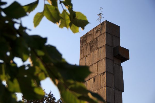 На памятнике казненным подпольщикам в Витебске выросло дерево.  Фото Игоря Матвеева