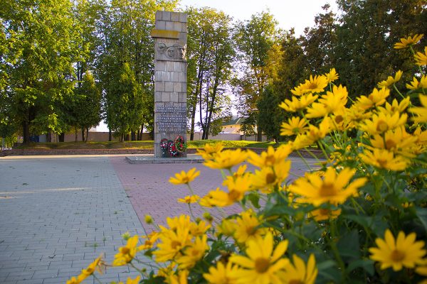 На памятнике казненным подпольщикам в Витебске выросло дерево.  Фото Игоря Матвеева