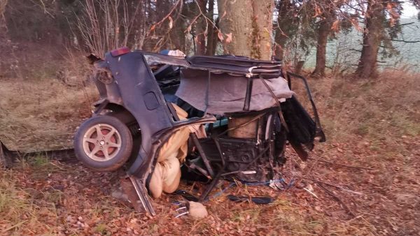 Водитель легковушки погиб в Оршанском райне: авто вылетело в кювет и врезалось в дерево. Фото ГАИ