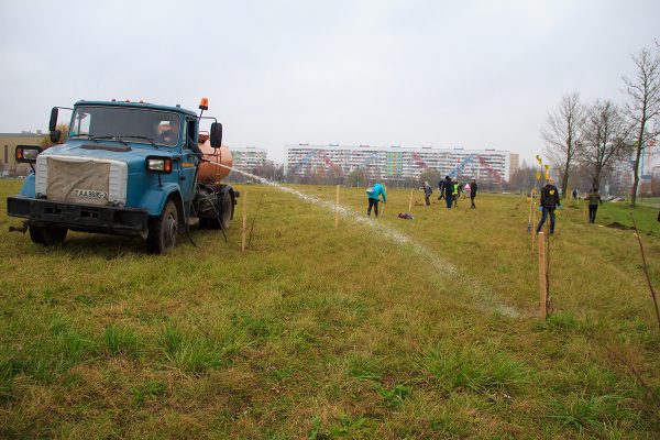 В Витебске чиновники и горожане вместе посадили деревья возле Ледового дворца. Фоторепортаж. Фото Игоря Матвеева