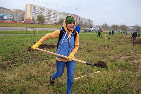 В Витебске чиновники и горожане вместе посадили деревья возле Ледового дворца. Фоторепортаж. Фото Игоря Матвеева