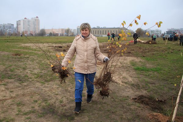 В Витебске чиновники и горожане вместе посадили деревья возле Ледового дворца. Фоторепортаж. Фото Игоря Матвеева