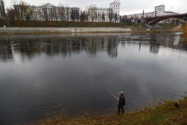 Щука начала хорошо брать на Двине в Витебске.  Фото Юрия Шепелева