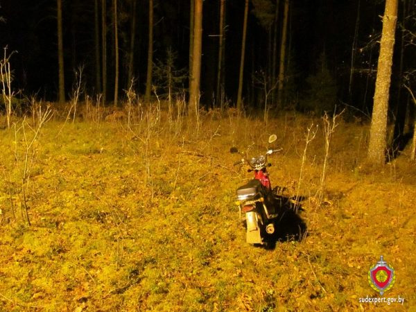 25 октября на опушке леса в Шумилинском районе ударом ножа был убит 37-летний мужчина, который собирал ягоды с женой. Фото СК