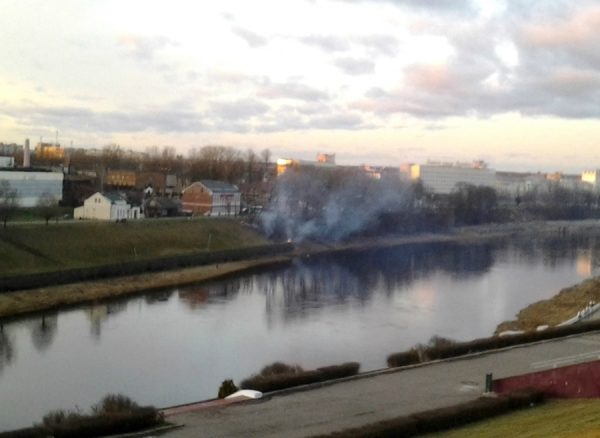 В центре Витебска пилят и сжигают деревья. Фото Юрия Шепелева