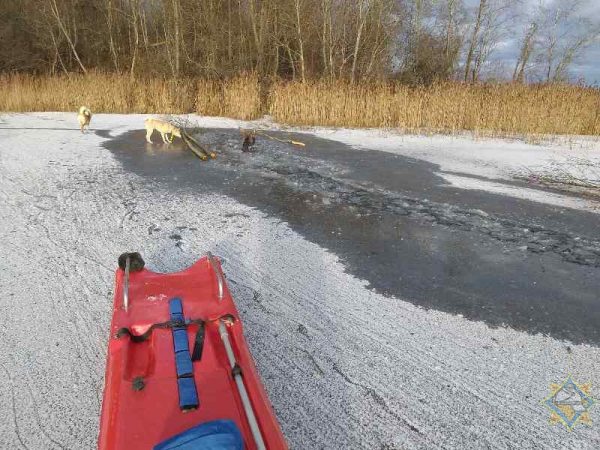 Операция по спасению лося из полыньи. Фото МЧС