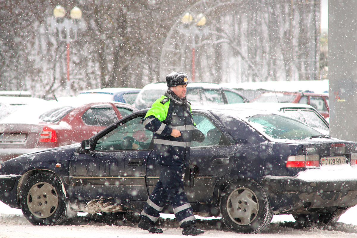 В Витебске уже 10 сантиметров снега