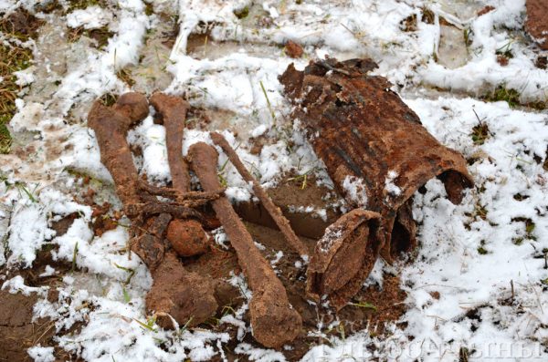 Останки предположительно солдата Вермахта обнаружены в Глубокском районе. Фото Анастасии Ананич / vg-gazeta.by