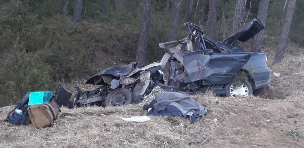 Житель Глубокского района разбился возле Бегомля, его авто врезалось в дерево. Фото ГАИ