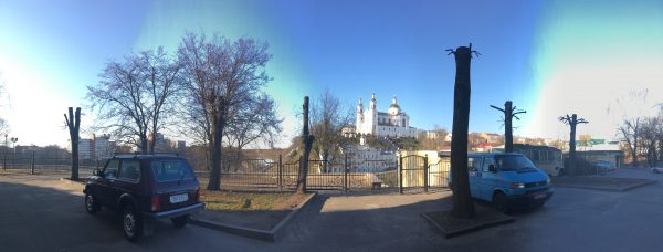 Возле театра в Витебске изуродовали несколько лип. Фото Сергея Серебро