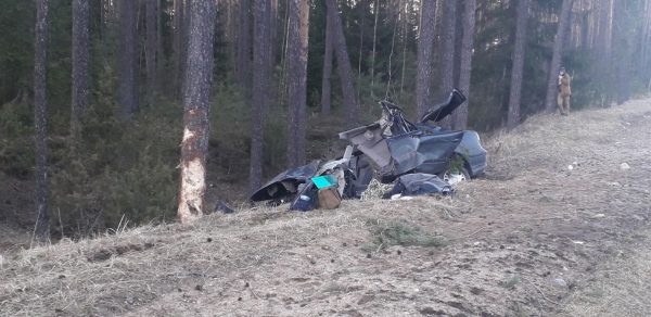 Житель Глубокского района разбился возле Бегомля, его авто врезалось в дерево. Фото ГАИ