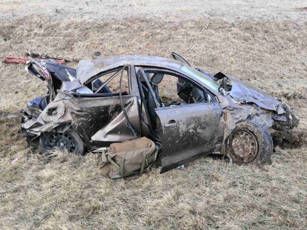 Перебегавший дорогу кабан стал причиной ДТП в Лиозненском районе, в котором пострадали три человека. Фото ГАИ