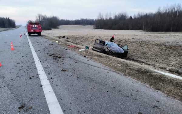 Перебегавший дорогу кабан стал причиной ДТП в Лиозненском районе, в котором пострадали три человека. Фото ГАИ