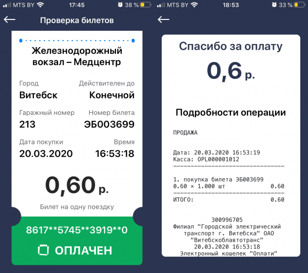 Электронный билет и квитанция о его пкупке