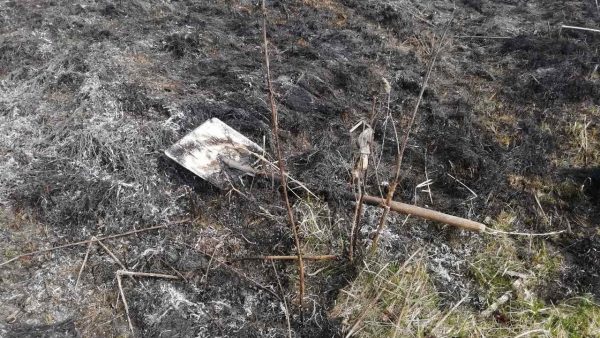 90-летний дедушка погиб в горящей траве в Бешенковичком районе, он пытался не подпустить огонь к дому. Фото МЧС