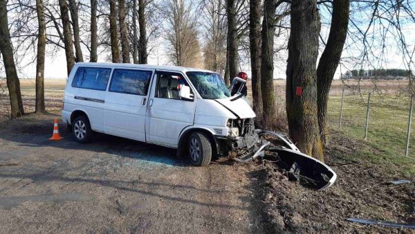 Микроавтобус не разминулся с деревом под Витебском, пострадали два человека. Фото ГАИ