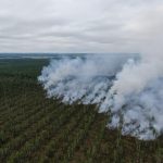 Пожарным удалось локализовать пожар на торфяниках в Витебском районе, но пока еще горят 2 гектара