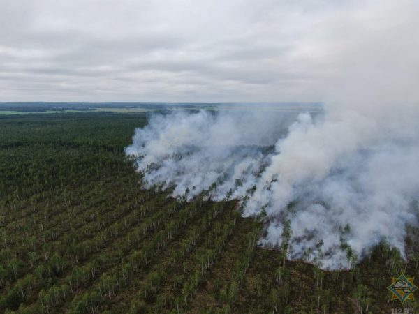 Три гектара торфяника горят в Витебском районе. Фото МЧС