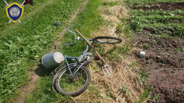 Молния убила 82-летнего велосипедиста в Миорском районе. Фото СК