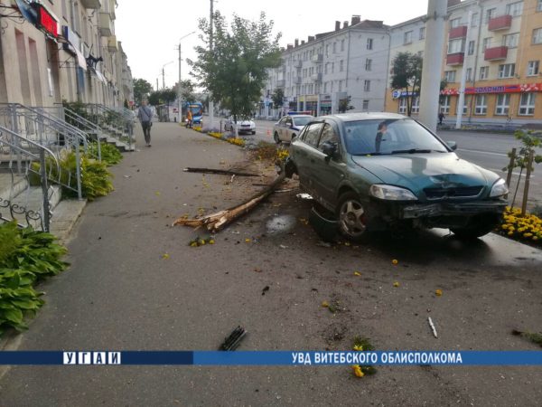 На проспекте Черняховского легковушка вылетела на тротуар и врезалась в дерево. Фото ГАИ