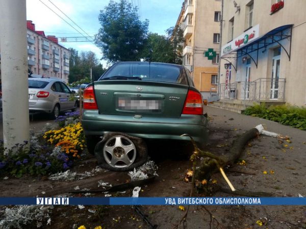 На проспекте Черняховского легковушка вылетела на тротуар и врезалась в дерево. Фото ГАИ