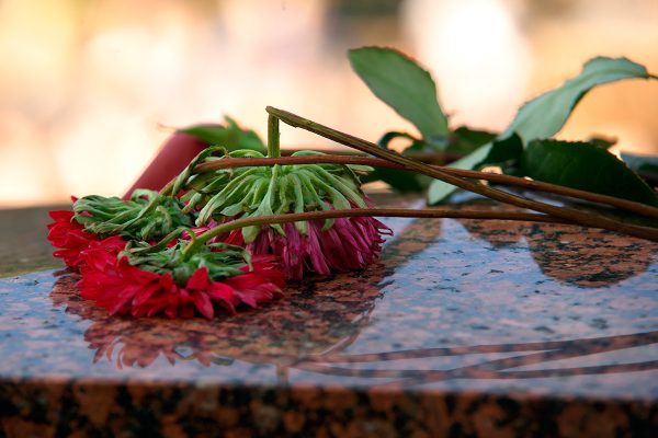Цветы, возложенные на парапет Витебского облисполкома. Фото Сергея Серебро