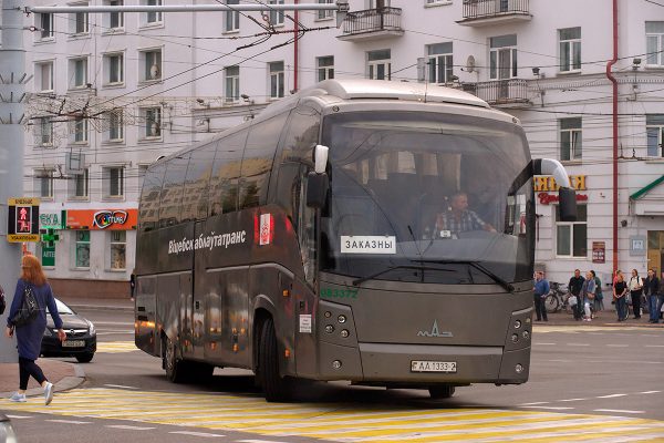 В Витебске прошла провластная акция «Беларусь — это мы», на которую собрали несколько тысяч человек. Фото Сергея Серебро