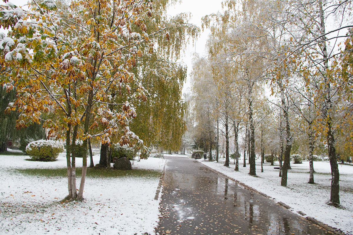 Ноябре выпадет снег. Первый снег в городе. Снег в октябре Вознесенский. Орск поздняя осень первый снег. Первый снег вид пейзажа.
