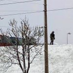 Силовики на снегу — зеленые на белом. Фотофакт