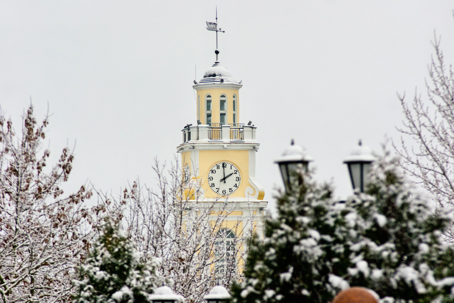 Городская ратуша среди заснеженных деревьев. Фото Сергея Серебро