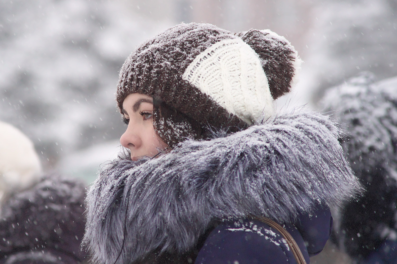 Девушка в меховой куртке во время метели в Витебске, январь 2016 года. Фото Сергея Серебро