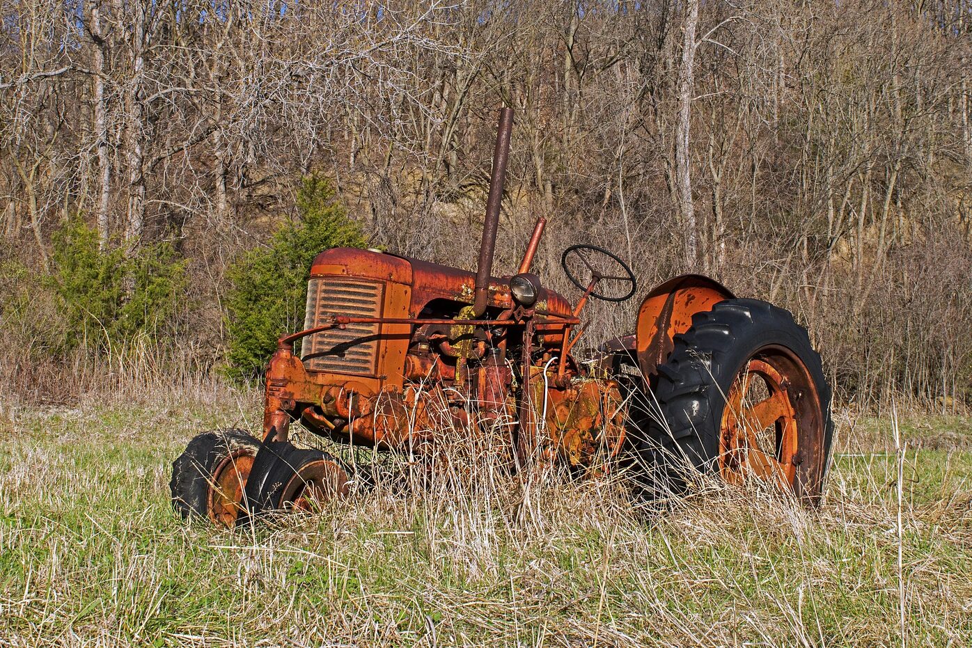Старый трактор на фоне кустарника. Фото pixabay.com