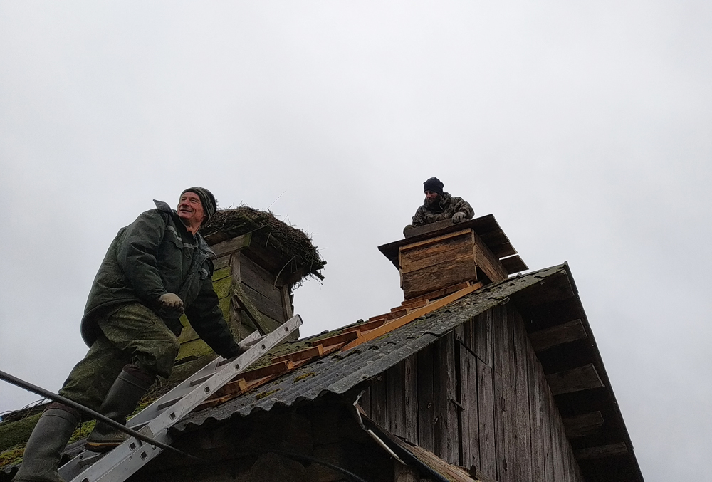 Работники Березинского заповедника помогли одинокой бабушке отремонтировать буслянку, которую много лет назад построил ее муж. Фото berezinsky.by