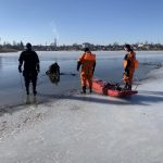 В Сенненском районе пенсионер утонул в мелиоративном канале