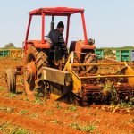 За 9 месяцев экономически активное население Витебской области сократилось на 6200 человек