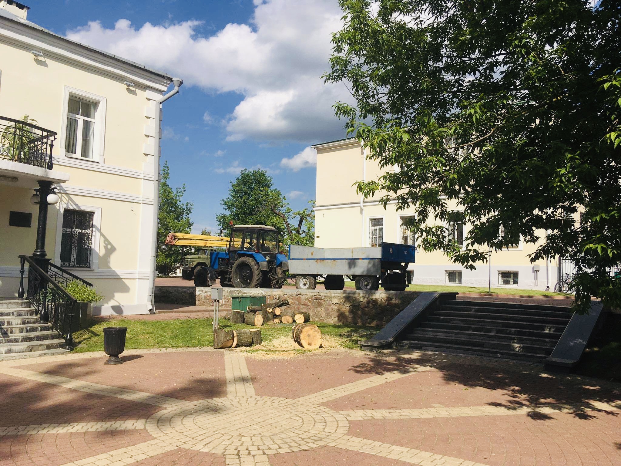 В Витебске срубили деревья на улице Пушкина, уцелевшие при Косинце. Фото ННВ