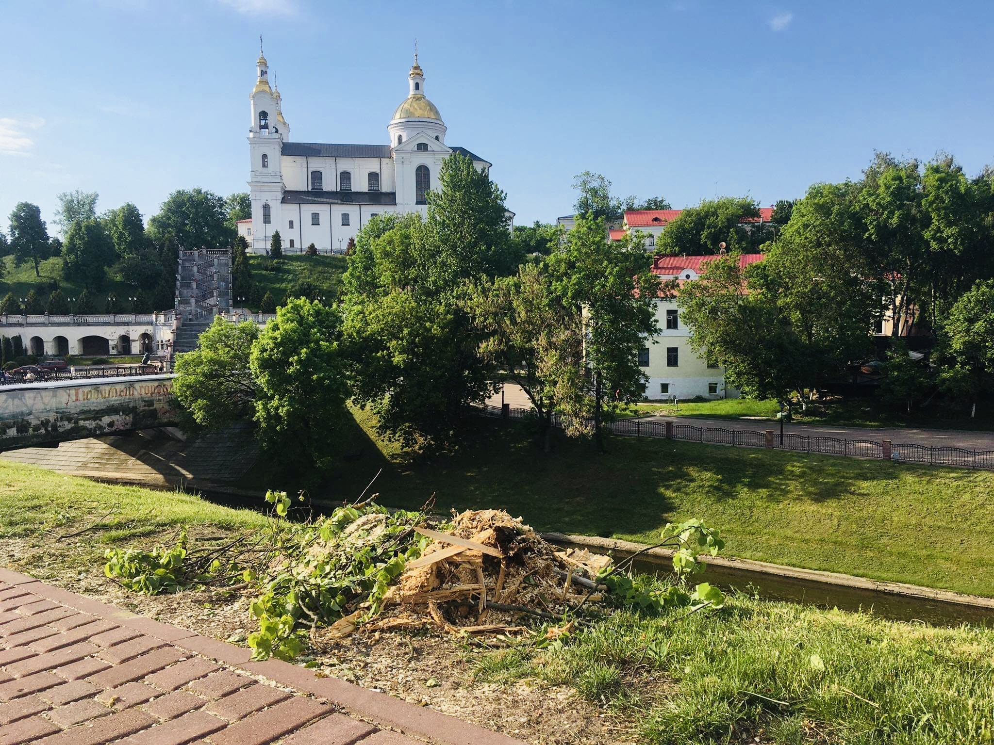 В Витебске срубили деревья на улице Пушкина, уцелевшие при Косинце. Фото ННВ